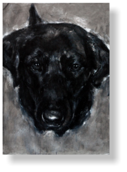 LABRADOR sit-3  50 : 70 cm acrylic paint, mixed media, canvas