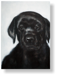 LABARDOR PUP 6 weeks old,  50 : 70 cm acrylic paint, mixed media, canvas