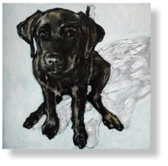 LABRADOR PUP 8 WEEKS  80 : 80 cm acrylic paint, mixed media, canvas