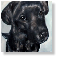 LABRADOR PUP 10 months old, 50 : 70 cm acrylic paint, mixed media, canvas